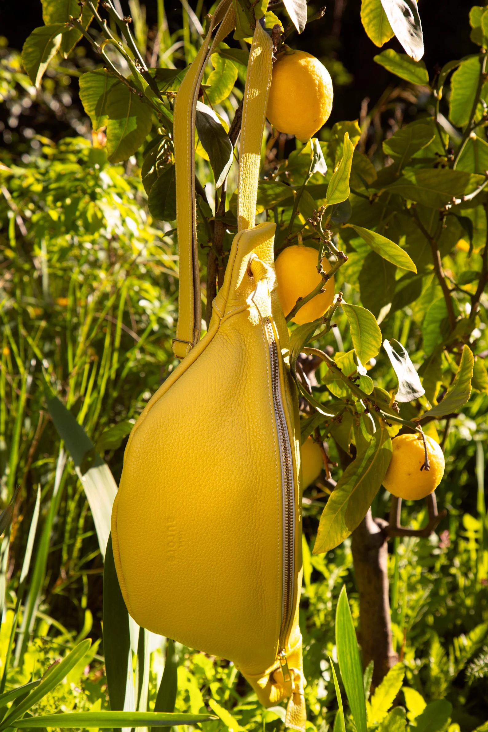 il_1588xN.6042017955_agbu