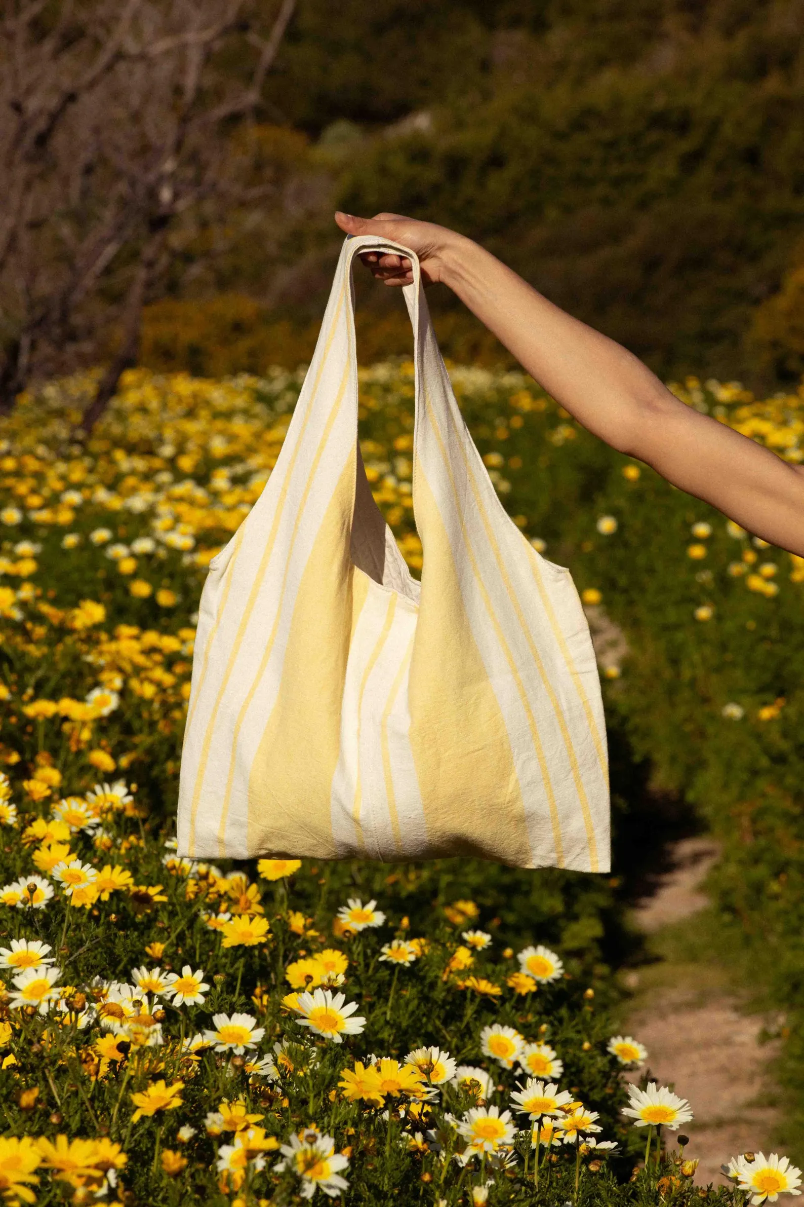 il_1588xN.7024349253_cs8z